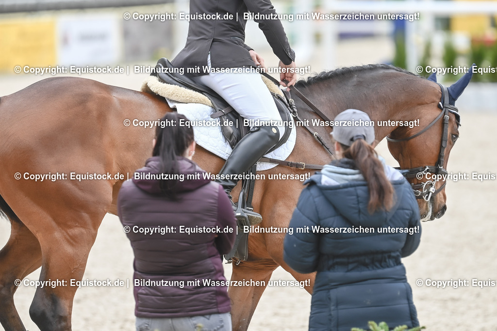 20230514_CCI4_Springen_0091 | equistock