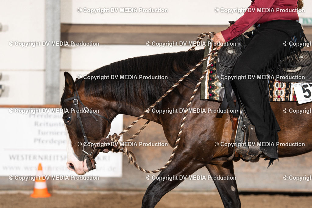Heiligenwald Tag 1-2602 | dv-media-shop - Realisiert mit Pictrs.com