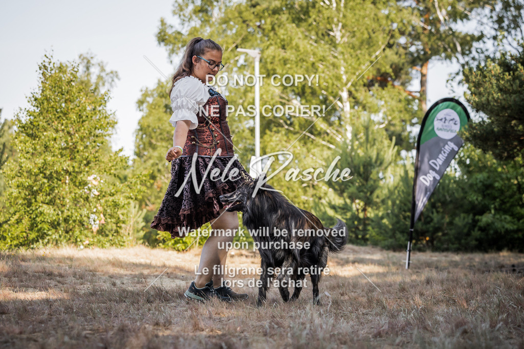 nelerasche_soDD1_29 | nelerasche