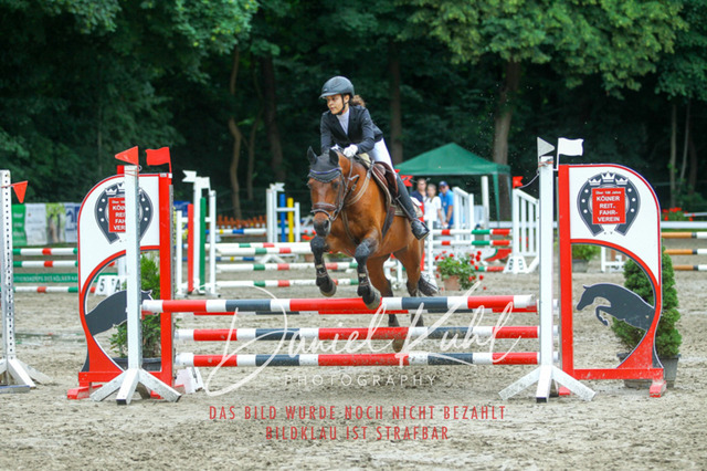 DKP44915 | Turniersportfotografie; Pferdefotografie; Dressurfotografie