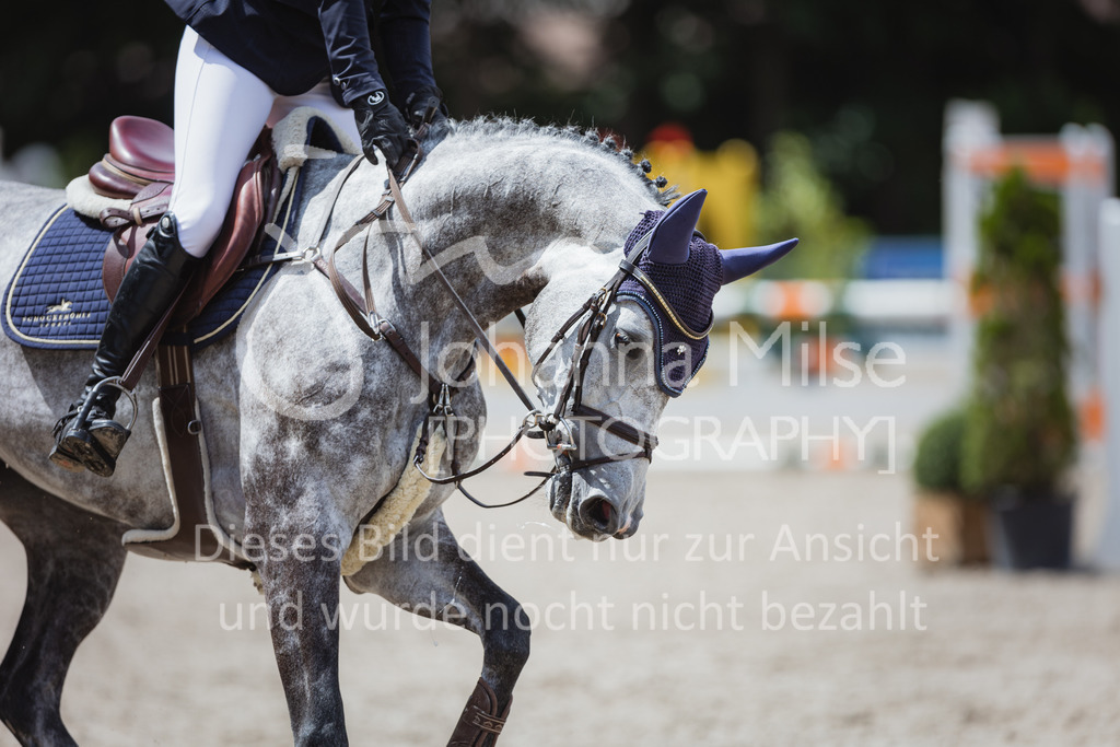 220705_Mühlen_SprPf-A3-384 | Late Entry Mühlen
05.07.2022
03 Springpferde-A**, 4-6jährige Pferde