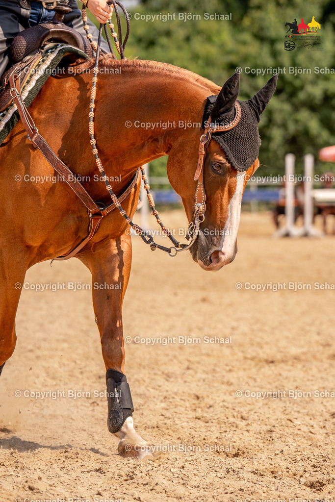 LMS05741 | BS-foto