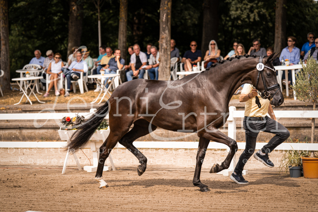 4.Fr00063 | Leoni Ertmer Photography - Realisiert mit Pictrs.com