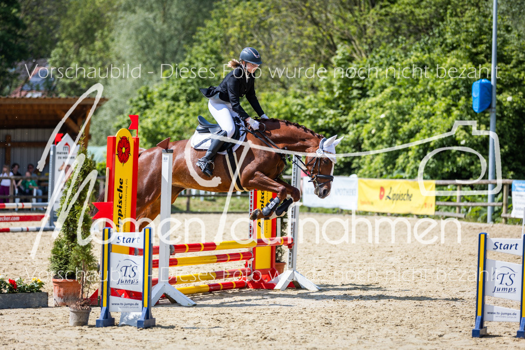 Donop24-SprRW-031 | MomenTaufnahmen Pferdesportfotos