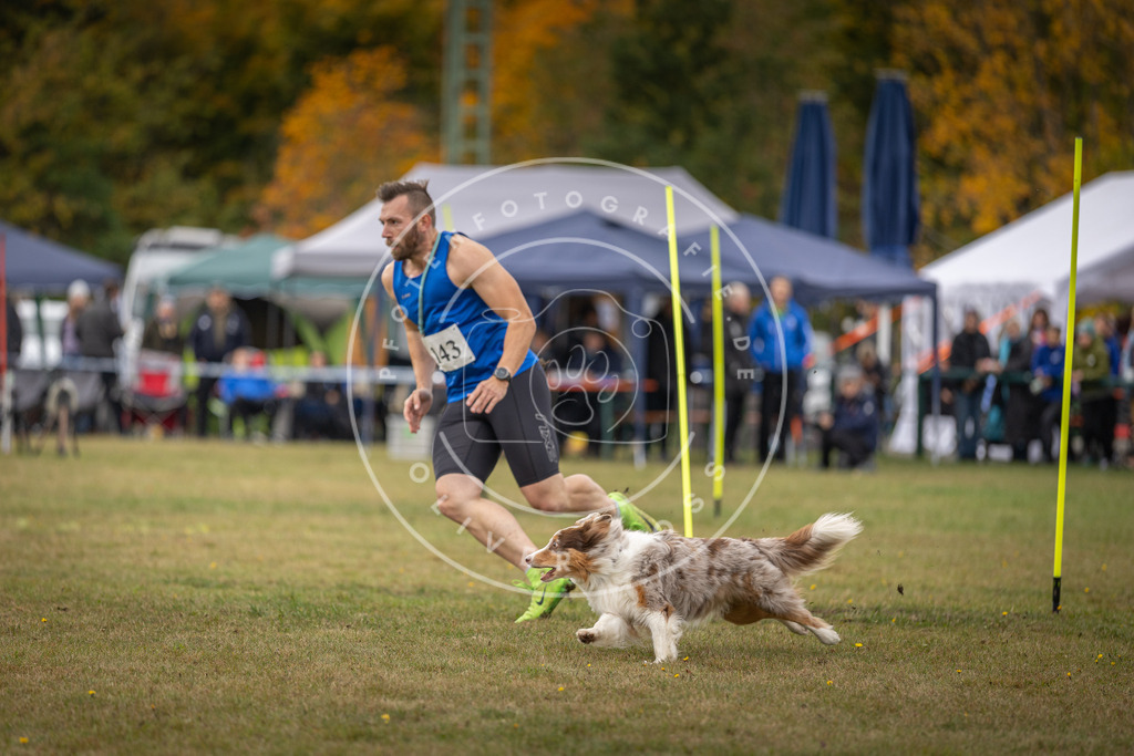 Pfotenfotografie_DV3A8001 | Hundefotografie, Tierfotograf, Pfotenfotografie, Fotoshooting Hund, Hunde Portrait, Hundesport, Hundeportraits, Heideshooting, Hunde, Sportfotograf, Hundefotograf, Turnierhundsport, THS,  - Realisiert mit Pictrs.com