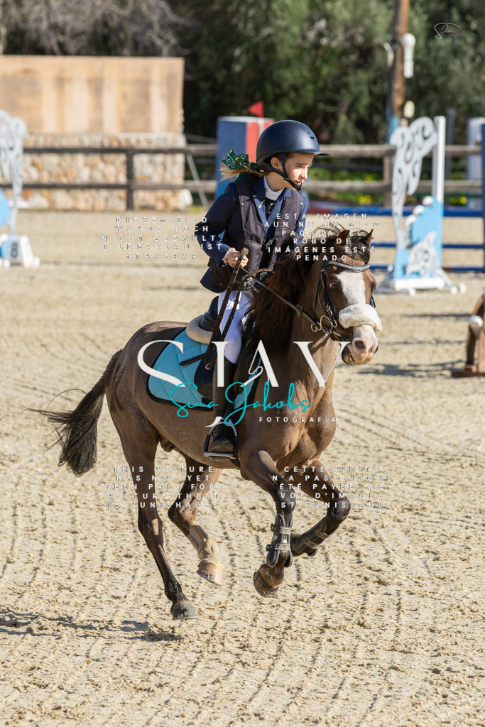 IMG_3716 | s-jay-photography - Realisiert mit Pictrs.com