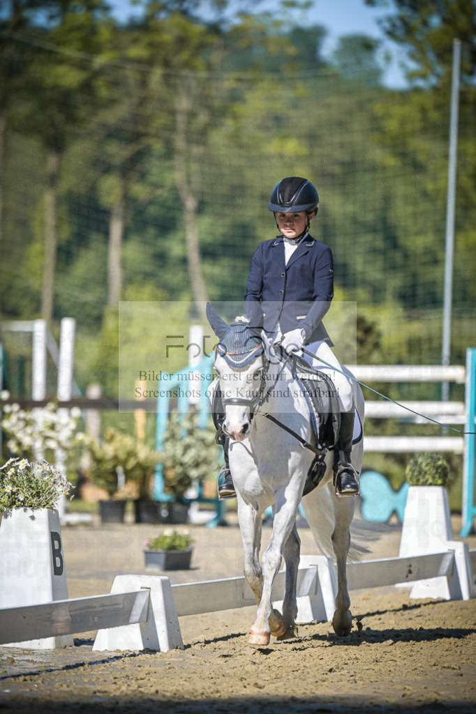 DOS_3848 | Entdecke hochwertige Reitturnierfotos von Foto Oger. Professionell, emotional und authentisch – jetzt Lieblingsmomente im Shop bestellen.Deutschlandweite Turnierfotografie. - Realisiert mit Pictrs.com