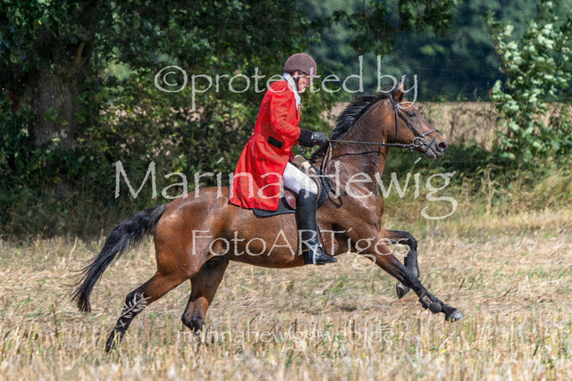 Jagd Wittenberg_MarinaHewig_MCH6481 | Fotografie, FotoArt, PferdesportArt, Pferdesportfotografie, Landschaftsfotografie, Reisefotografie, Reise, Pferde - Realisiert mit Pictrs.com