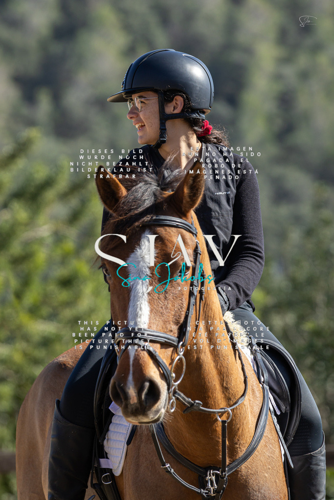 IMG_6490 | s-jay-photography - Realisiert mit Pictrs.com