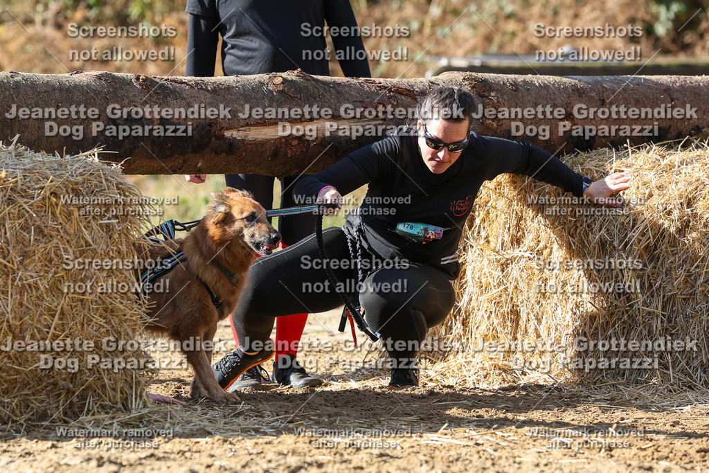 Dog Paparazzi - Strongdog 10-25-4840 | Dog Paparazzi Jeanette Grottendiek Fotografie & Videografie - Realisiert mit Pictrs.com