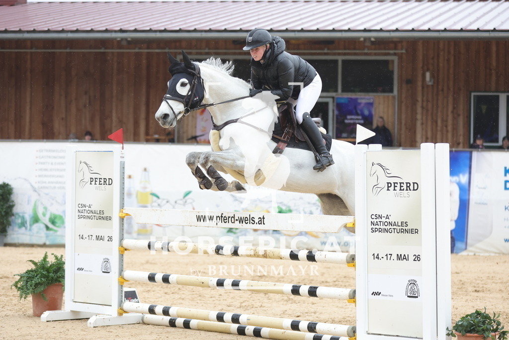 0P6A0646 | Willkommen bei Brunnmayr - Design & Fotografie – Ihrem Spezialisten für Reitturniere und Pferdeveranstaltungen in Oberösterreich, Salzburg und Bayern! Seit über 17 Jahren sind wir leidenschaftlich dabei.