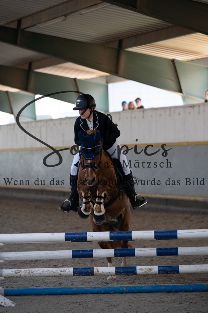 A7V06632 | Pferdefotograf