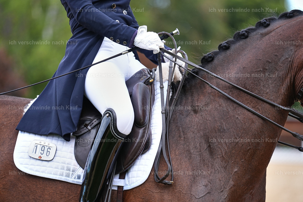 6-196-AMATUER-DRESSUR S_  -Marixx-3721 | working equitationturnier fotograf videograf stoibphotography marixx film working equitation deutschland reitsport turnierfotografie eventfotografie equestrian events
