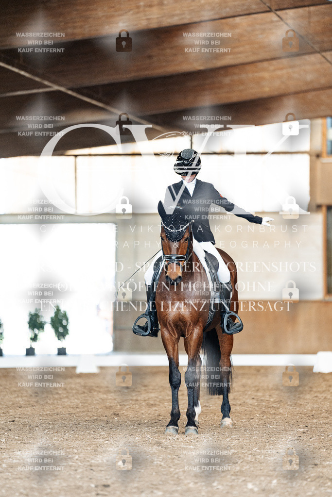 CK901448 | Turnierfotografie Pferdefotografie Trier Rheinland-Pfalz Pferdesport Reitsport Tierfotografie Sportfotografie Pferdevideo Pferdevideografie Equestrianvideography equestrianphotography  - Realisiert mit Pictrs.com