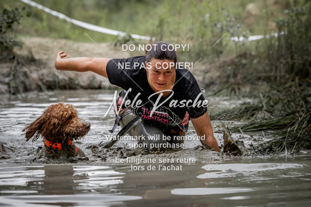 nelerasche_so0800-0930_503 | nelerasche