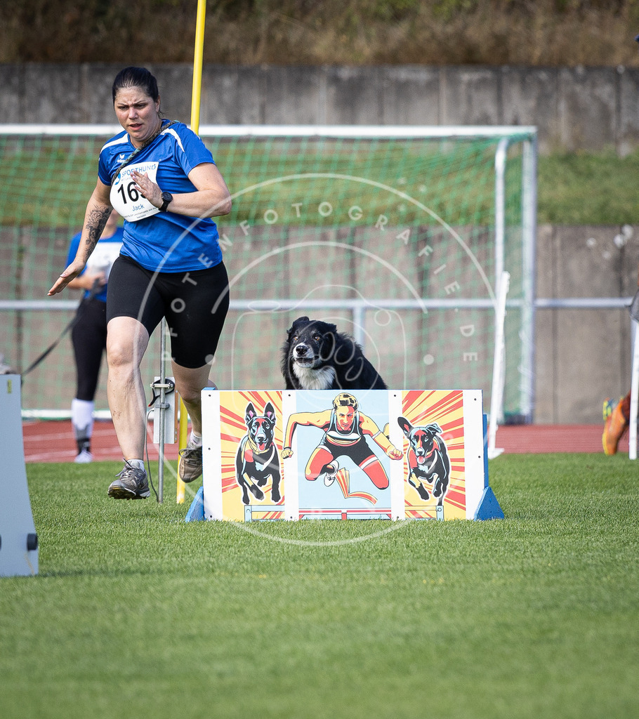 Pfotenfotografie_DV3A9677 | Hundefotografie, Tierfotograf, Pfotenfotografie, Fotoshooting Hund, Hunde Portrait, Hundesport, Hundeportraits, Heideshooting, Hunde, Sportfotograf, Hundefotograf, Turnierhundsport, THS,  - Realisiert mit Pictrs.com