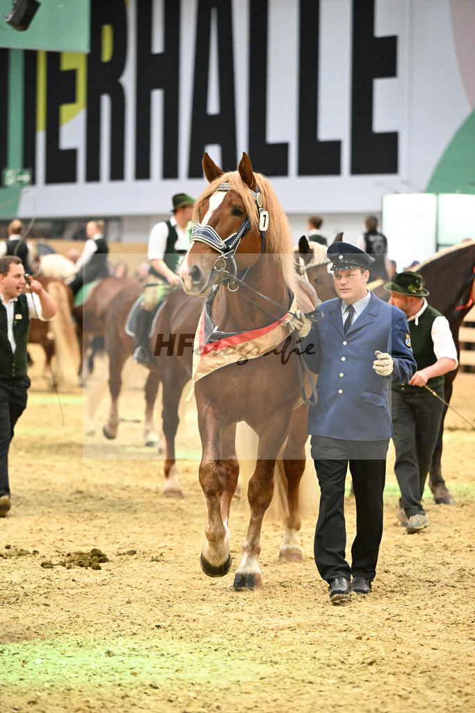 Schauprogramm_Gruppenbild_1261205 | hf-fotografie - Realisiert mit Pictrs.com