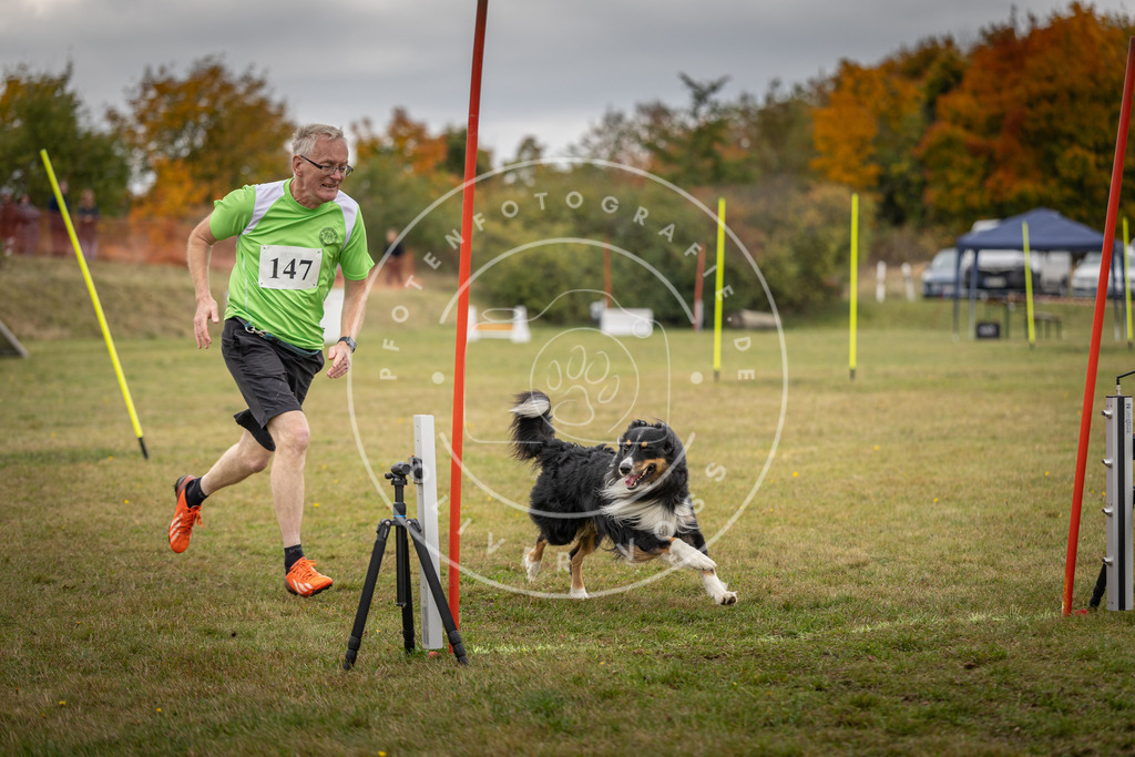 Pfotenfotografie_DV3A6517 | Hundefotografie, Tierfotograf, Pfotenfotografie, Fotoshooting Hund, Hunde Portrait, Hundesport, Hundeportraits, Heideshooting, Hunde, Sportfotograf, Hundefotograf, Turnierhundsport, THS,  - Realisiert mit Pictrs.com