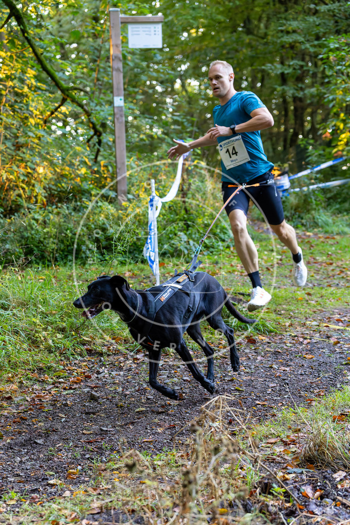 Pfotenfotografie_DV3A6350 | Hundefotografie, Tierfotograf, Pfotenfotografie, Fotoshooting Hund, Hunde Portrait, Hundesport, Hundeportraits, Heideshooting, Hunde, Sportfotograf, Hundefotograf, Turnierhundsport, THS,  - Realisiert mit Pictrs.com