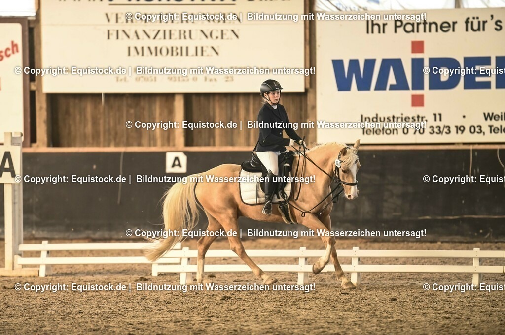 03_Reiter-WB_0095 | Foto: Thomas Hartig
