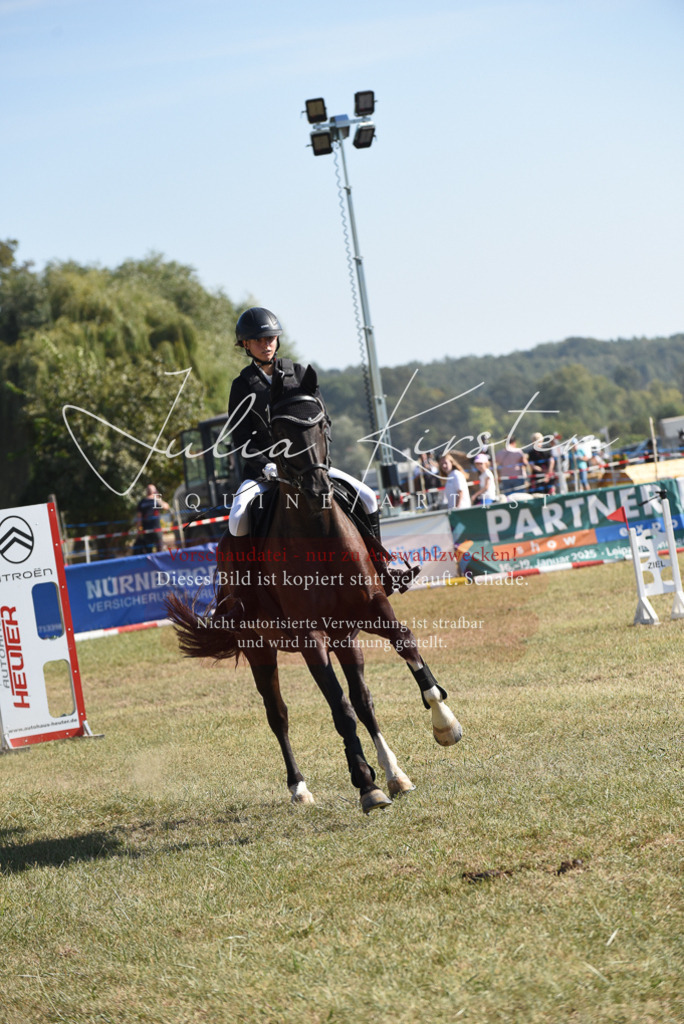 DSC_6008 | Pferde- und Turnierfotografie in Westsachsen. Pferdeportraits, Auftragszeichnungen und intuitive Kunst.