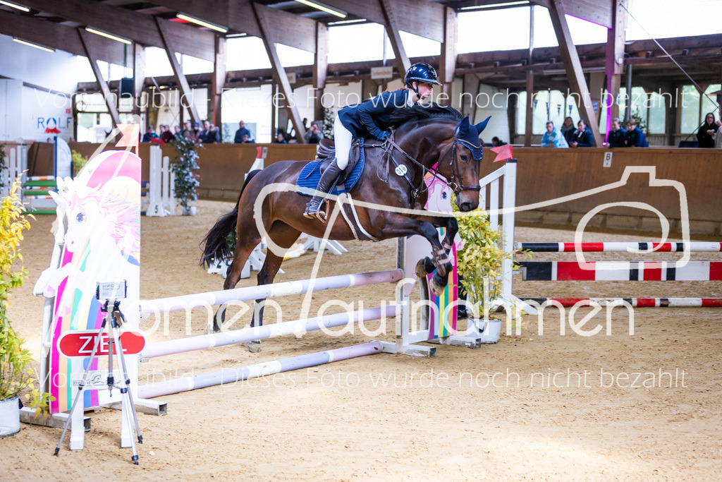 Sth-E-Springen-005 | MomenTaufnahmen Pferdesportfotos