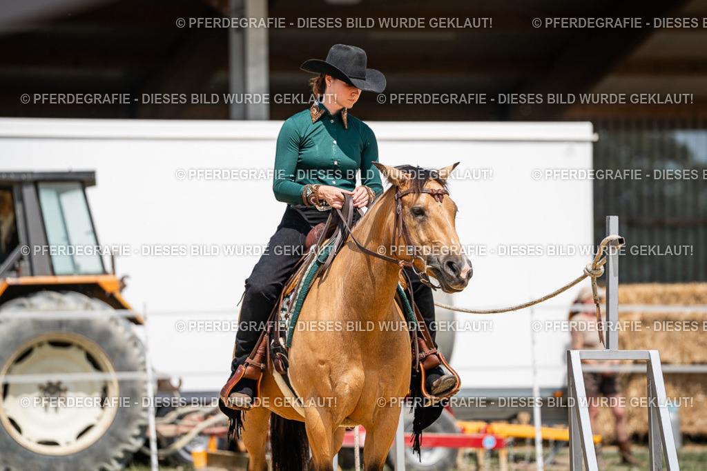 DSC01318 | Pferdegrafie