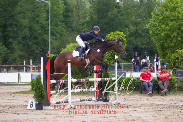 DKP41788 | Turniersportfotografie; Pferdefotografie; Dressurfotografie