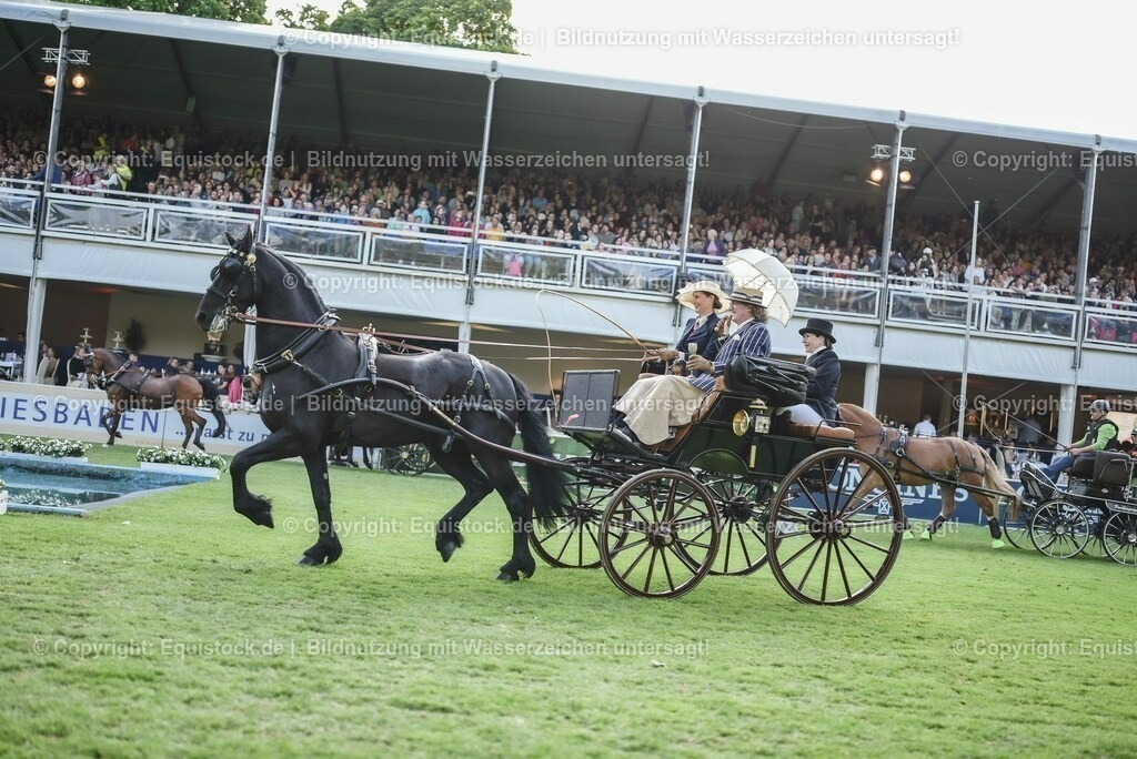 20230526_Pferdenacht_0203 | equistock