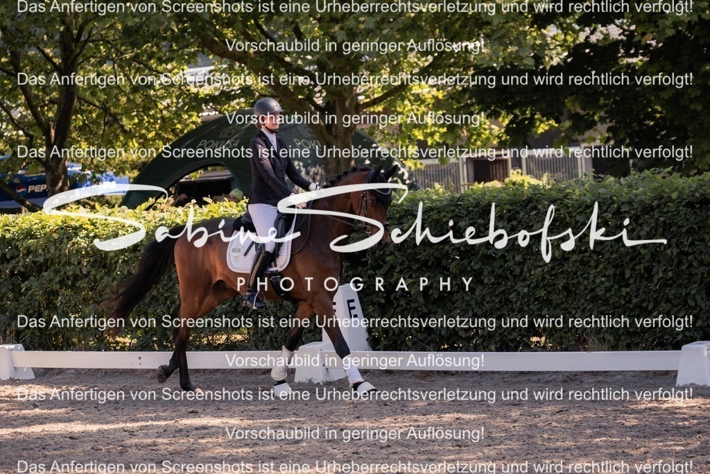 2025_05_31_DSCF3139 | People- und Tierfotografie, Imageaufnahmen, Veranstaltungsfotografie und Wandbilder aus der Natur ★ Made in Germany ✔️ Druck + Downloads ✔️ Naturfotografie in Top Qualität ★ schneller Versand, weltweite Lieferung! - Realisiert mit Pictrs.com