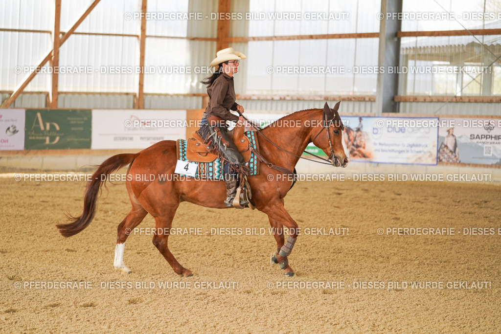 DSC02641 | Pferdegrafie