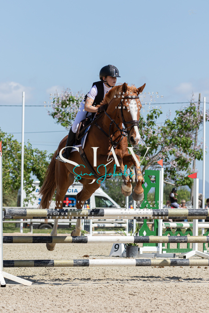 IMG_0732 | s-jay-photography - Realized with Pictrs.com