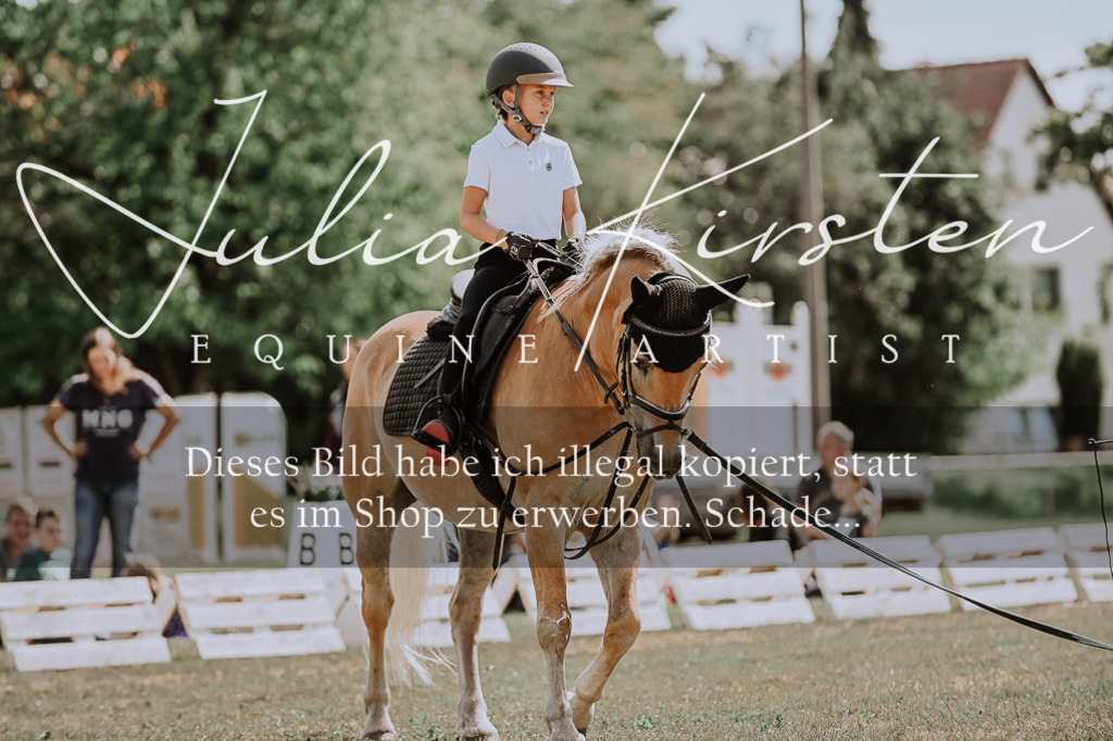 DSC_7746 | Pferde- und Turnierfotografie in Westsachsen. Pferdeportraits, Auftragszeichnungen und intuitive Kunst.