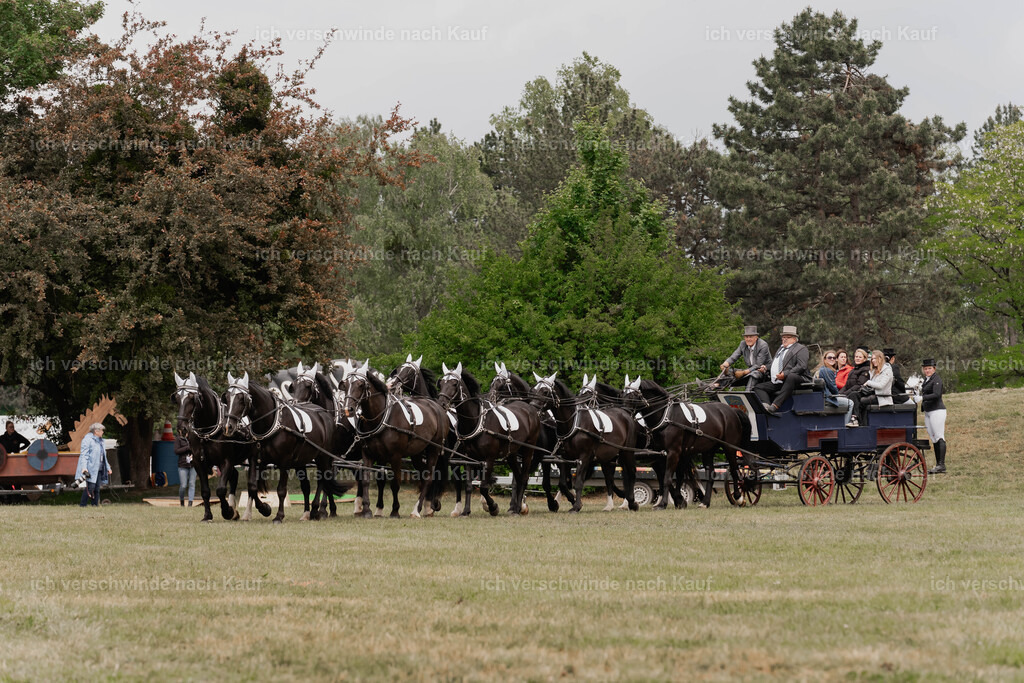Showprogramm-136 | working equitationturnier fotograf videograf stoibphotography marixx film working equitation deutschland reitsport turnierfotografie eventfotografie equestrian events