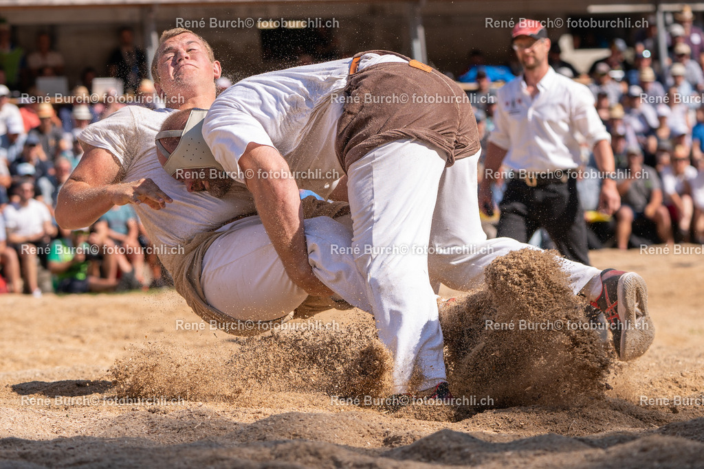 DSC07119-3 | René Burch leidenschaftlicher Fotograf aus Kerns in Obwalden.  Hier finden sie Sport, Landschaft und Natur Fotografie.
 - Realisiert mit Pictrs.com