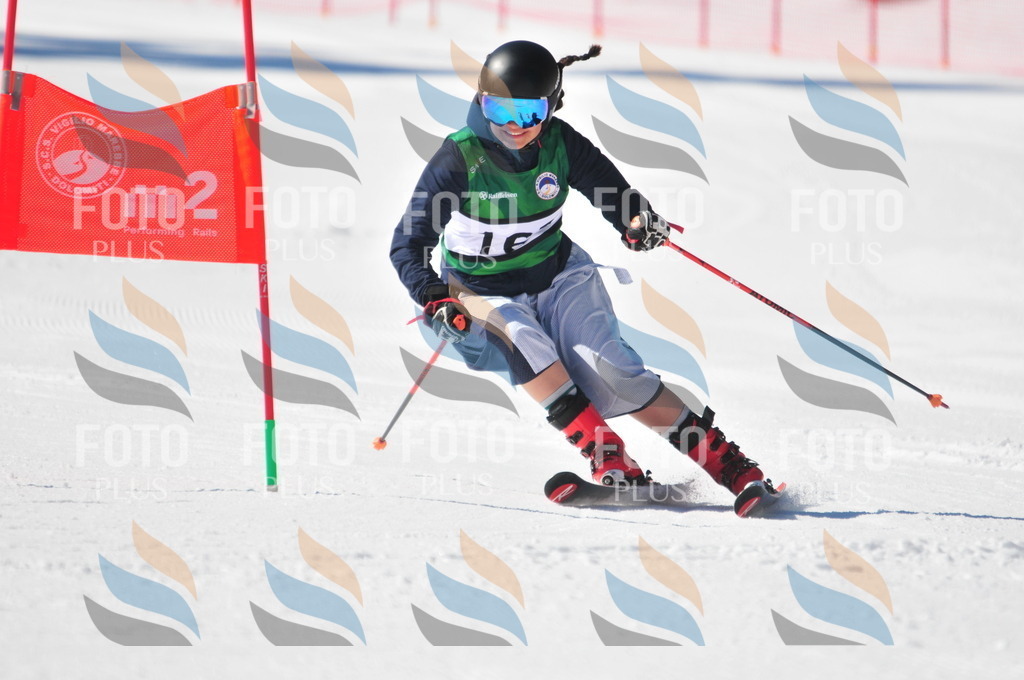 C4186 | holidayphoto