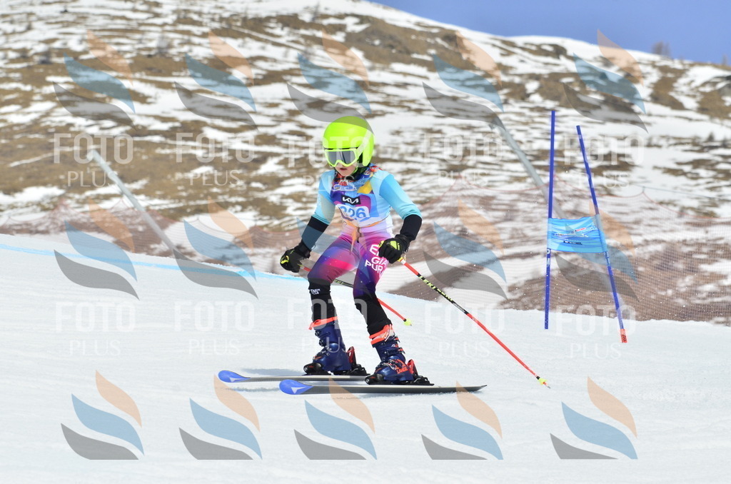 _ELE2834 | holidayphoto