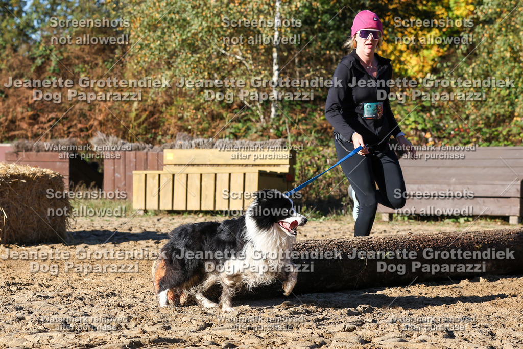 Dog Paparazzi - Strongdog 10-25-1758 | Dog Paparazzi Jeanette Grottendiek Fotografie & Videografie - Realisiert mit Pictrs.com