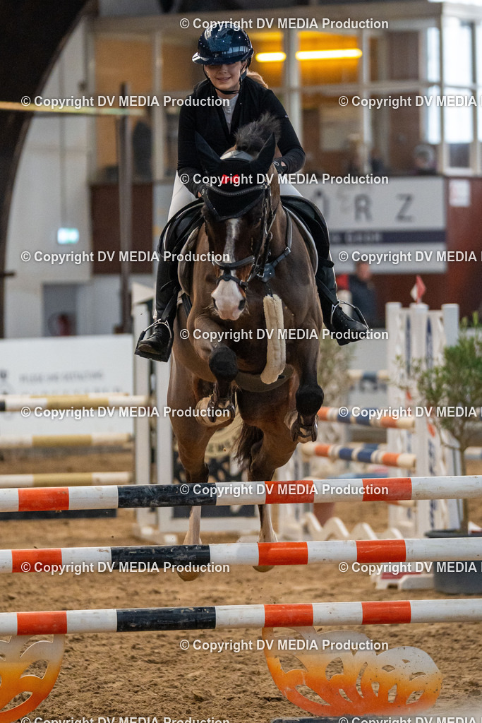 Kranichstein Tag 2-012 | dv-media-shop - Realisiert mit Pictrs.com