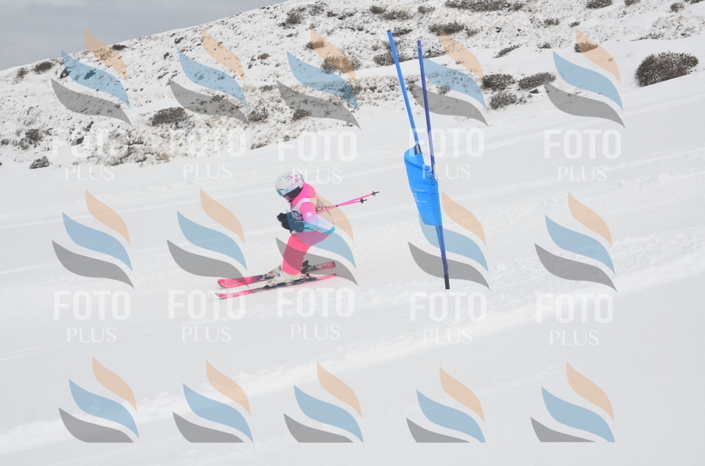 A5127 | holidayphoto