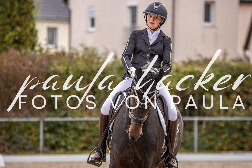 IMG_2801 | Erleben Sie dynamische Sport- und emotionale Tierfotografie in Süddeutschland mit Fotos von Paula. Spezialisiert auf Pferde- und Hundefotografie sowie Sportevents. Kontaktieren Sie mich für einzigartige und ausdrucksstarke Bilder Ihrer besonderen Momente.