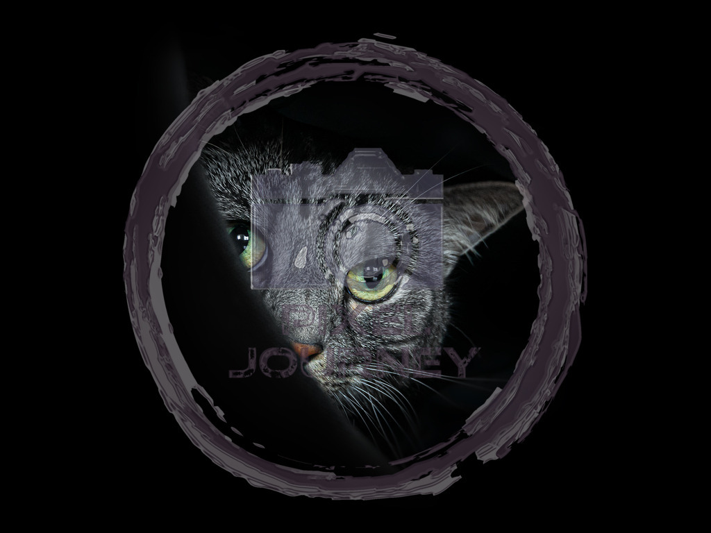 keep hide | Fotograf, Fotografin, Portraitfotograf, Kunstfotograf, Fotoshop Fineart, Fotoshop Kunstfotografie, Fotos kaufen, Pixeljourney, Doreen Riedel, Natur, Tiere, Architektur, Kunst, Makro