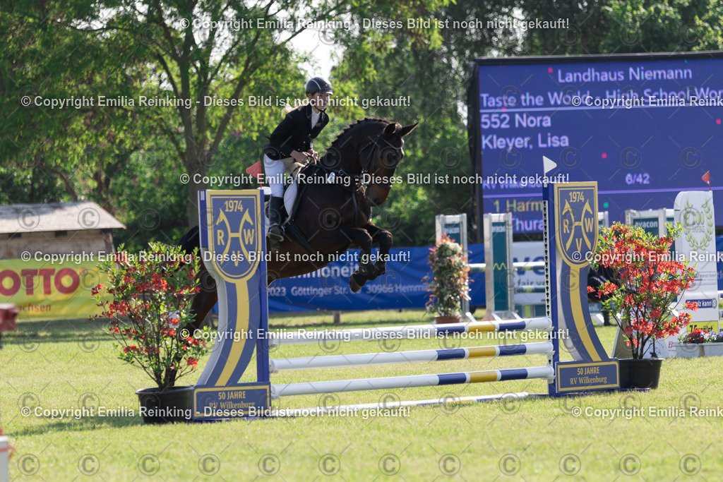 CL5A0391 | Emilia Reinking Fotografie - Realisiert mit Pictrs.com