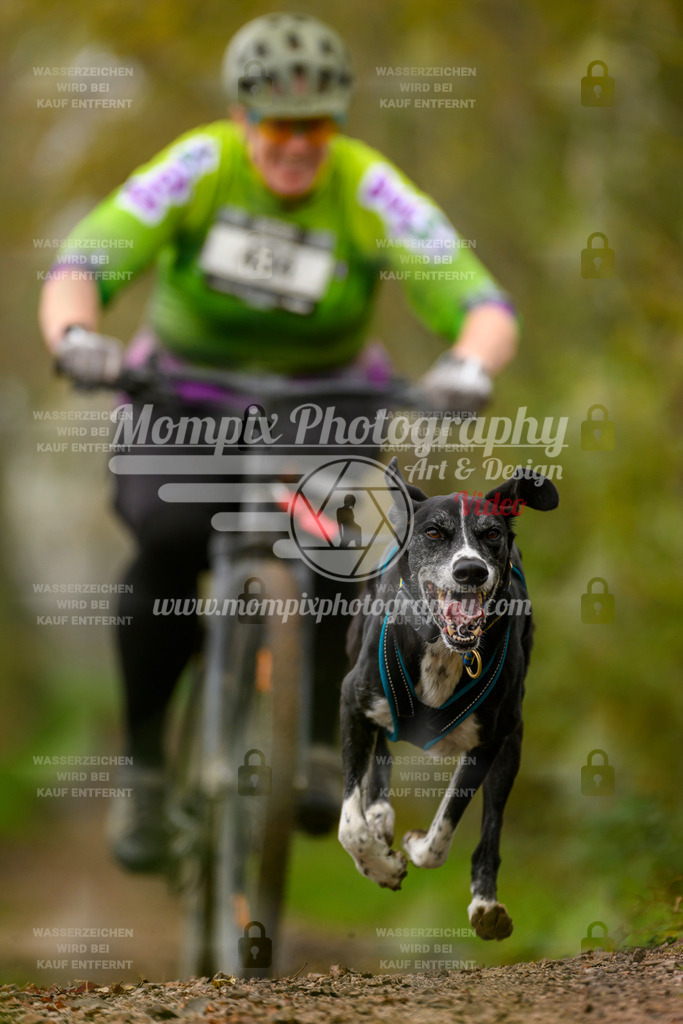 MompixPhotography_20TSB_E6_Bike-145 | PayLife