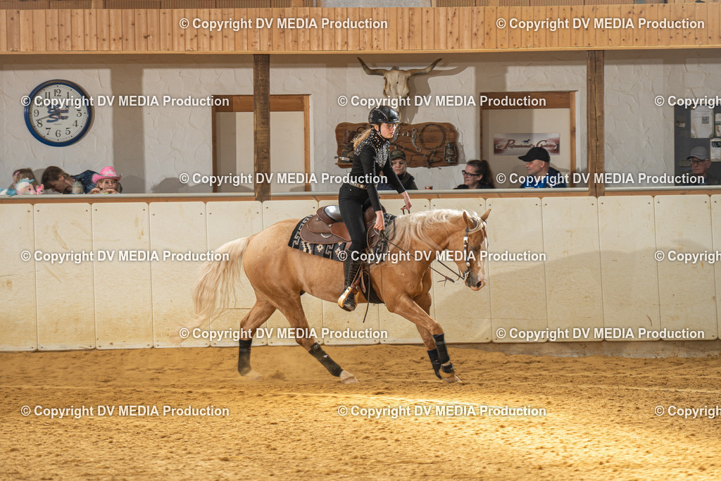 MIT01000 | dv-media-shop - Realisiert mit Pictrs.com