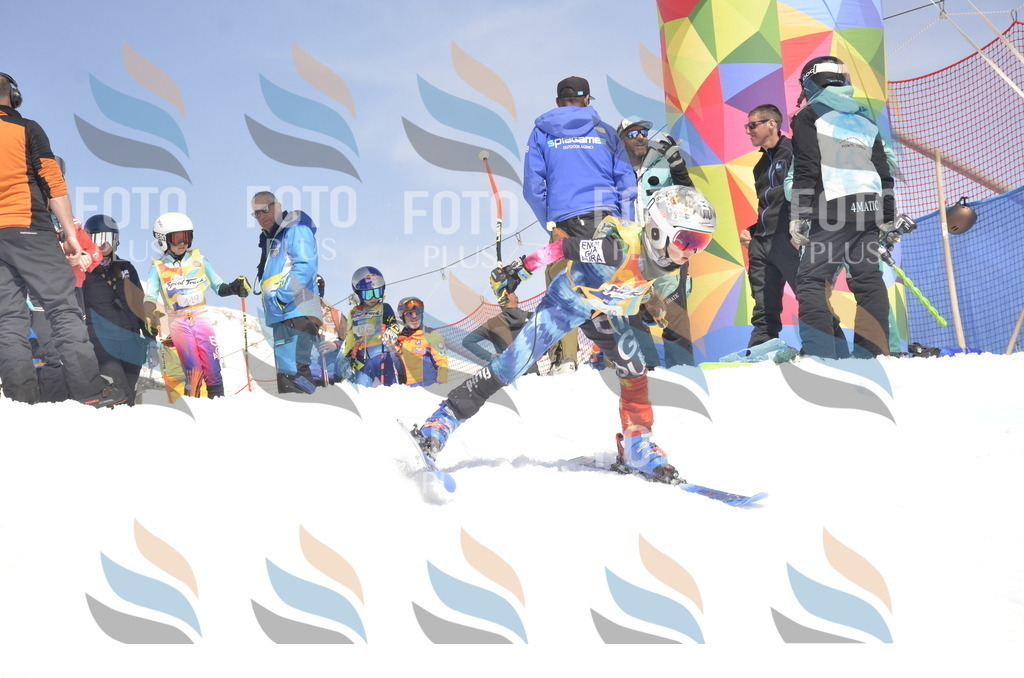 _ELE9542 | holidayphoto