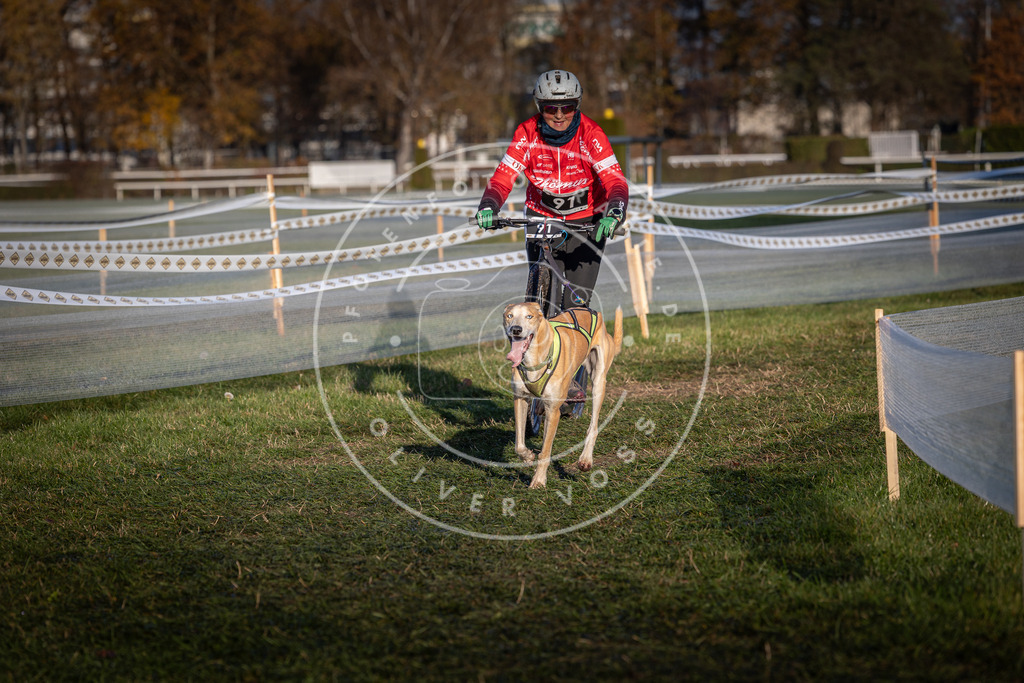 CaniXpix_0L8A3966 | Hundefotografie, Tierfotograf, Pfotenfotografie, Fotoshooting Hund, Hunde Portrait, Hundesport, Hundeportraits, Heideshooting, Hunde, Sportfotograf, Hundefotograf, Turnierhundsport, THS,  - Realisiert mit Pictrs.com