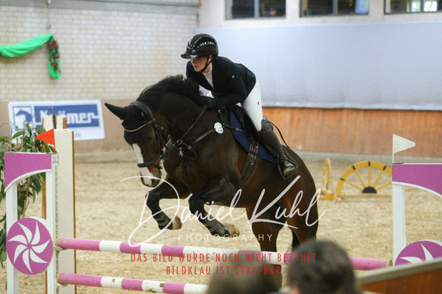 IMG_0622 | Turnierfotos kaufen im Webshop von Daniel Kuhl Photography – entdecke professionelle Reitsportfotos aus Turnieren & Events. Hochwertige Turnierbilder online bestellen & sichern. Jetzt Fotos von Reitsportturnieren kaufen!