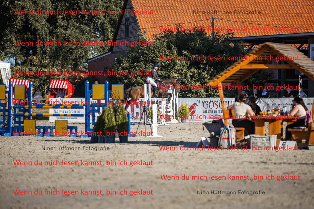 BK1A7833 | Turnierbilder Turnierfotos Nina Hüffmann Turnierfotografie Pferdefotografie Tierzeichnung Haustierzeichnung Pferdezeichnung Hundezeichnung Videograf  - Realisiert mit Pictrs.com