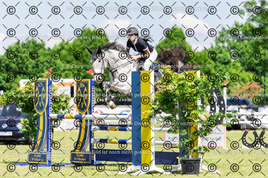 CL5A8667 | Emilia Reinking Fotografie - Realisiert mit Pictrs.com